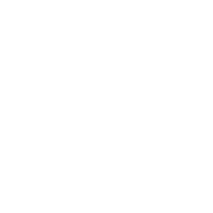 Cobus visser logo white_Option01_102622